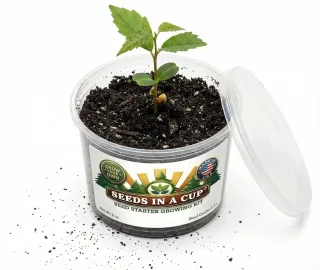 Seeds In A Cup shared brand gallery image 6
