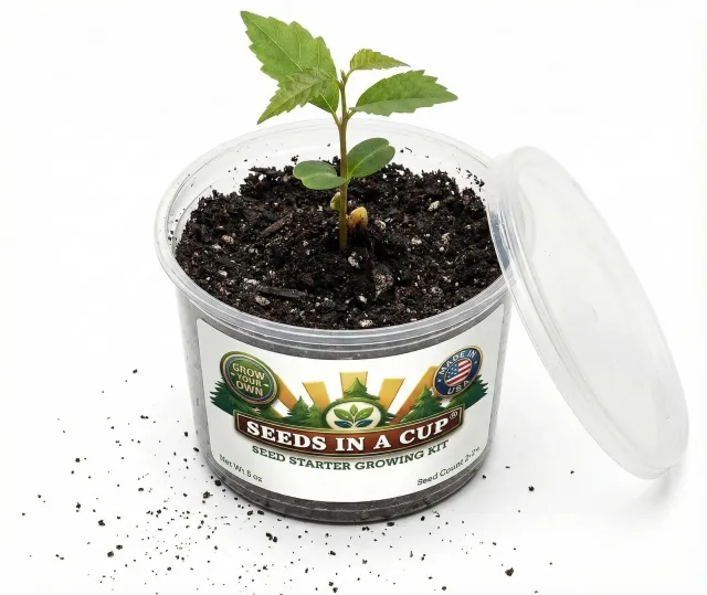 Seeds In A Cup shared brand gallery image 6