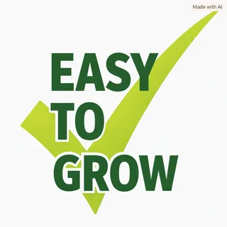 Seeds In A Cup shared brand gallery image 7