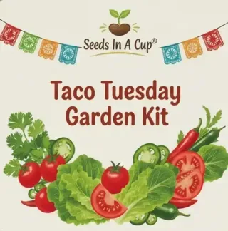 Taco Tuesday Garden Kit — supplied product image